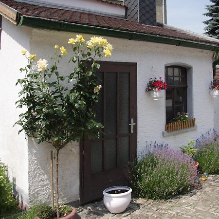 3 Seiten Ferienwohnung Jena Esterno foto