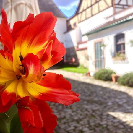3 Seiten Ferienwohnung Jena Esterno foto