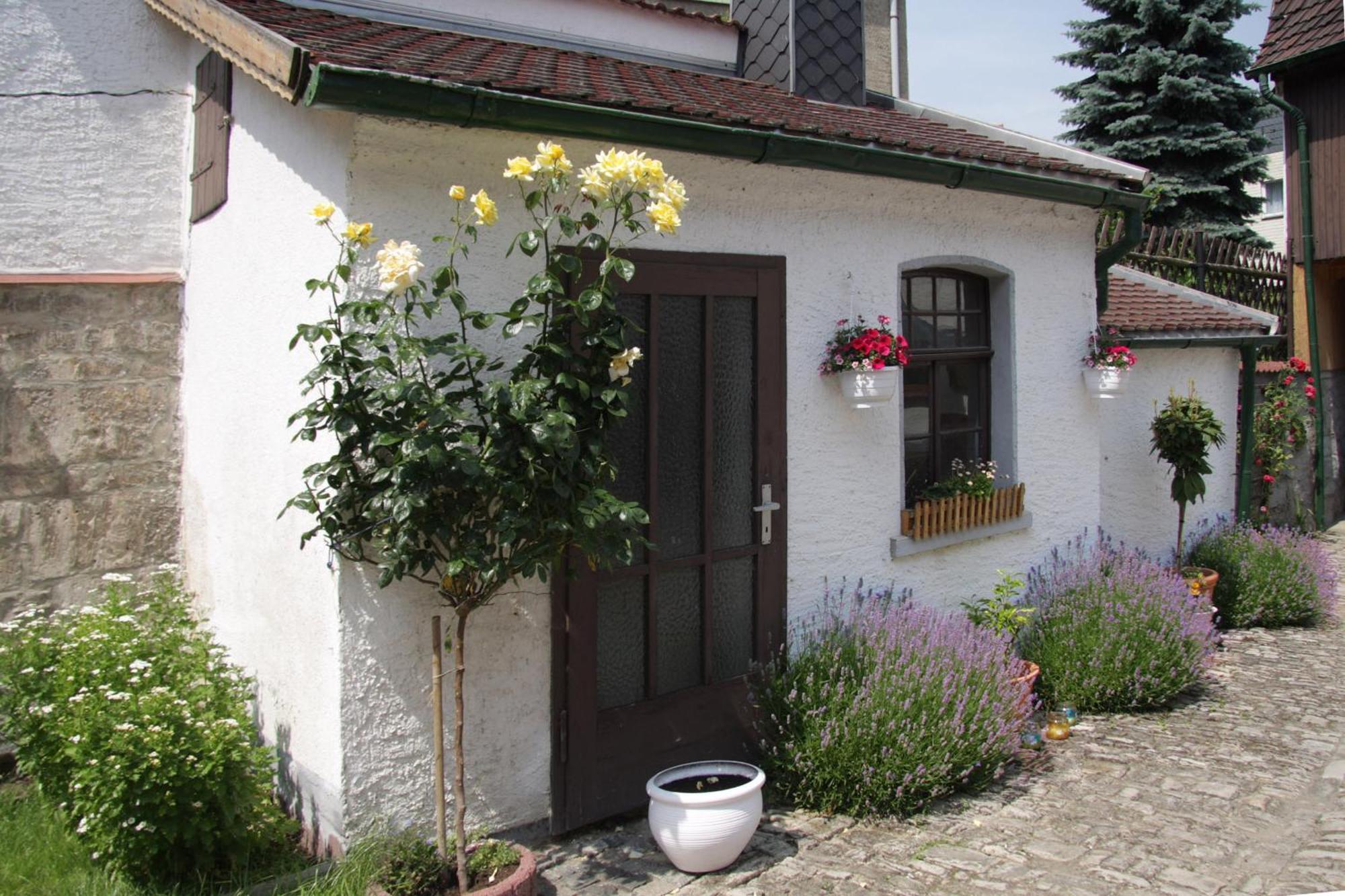 3 Seiten Ferienwohnung Jena Esterno foto