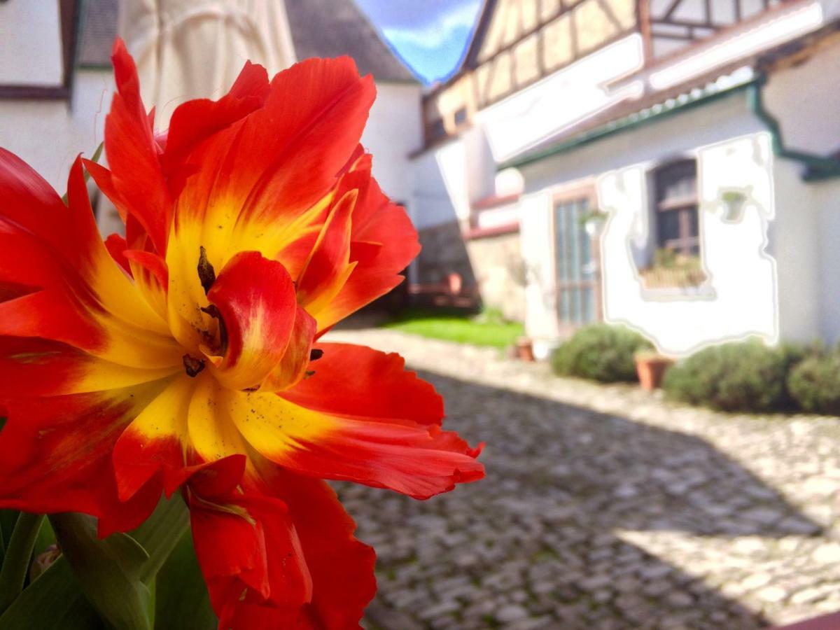 3 Seiten Ferienwohnung Jena Esterno foto